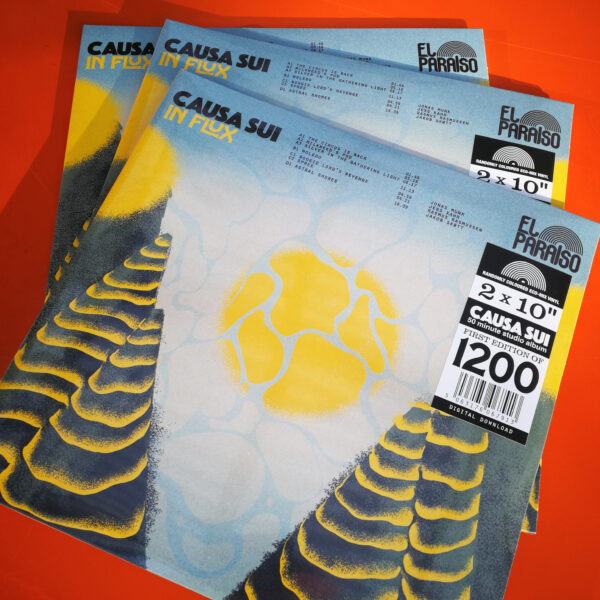 Causa Sui: In Flux - Image 4