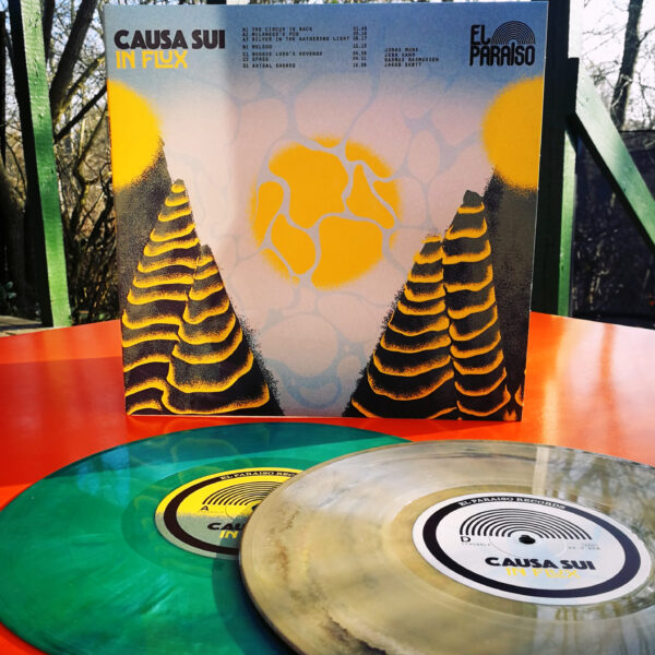 Causa Sui: In Flux - Image 5
