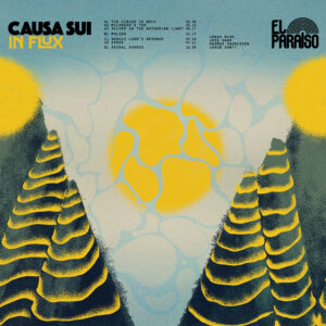 Causa Sui: In Flux