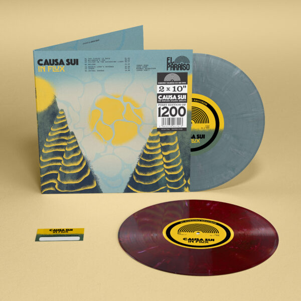 Causa Sui: In Flux - Image 7